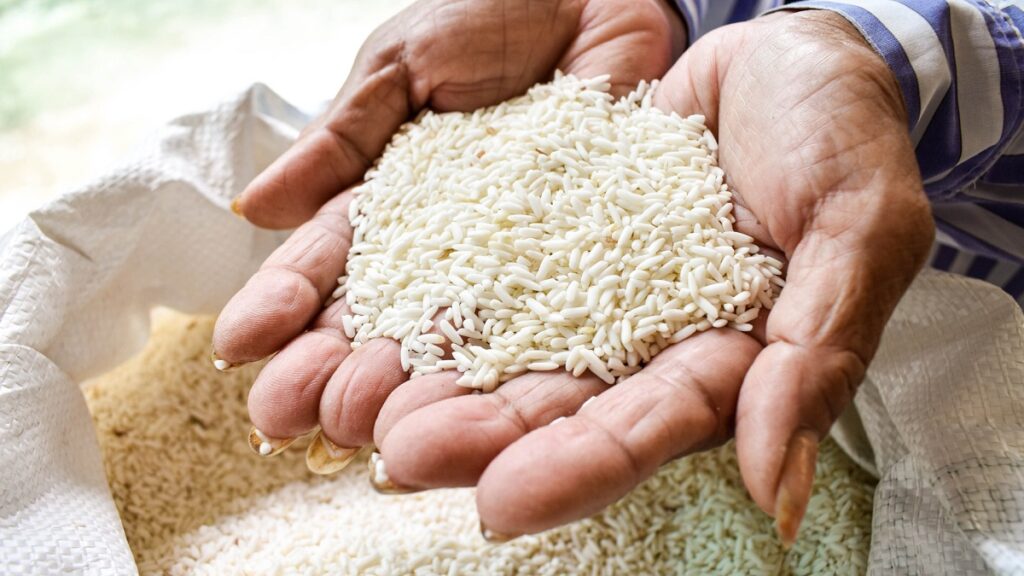 Nigeria-achat-de-riz-mais-penuries-alimentaires